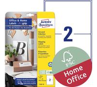 AVERY Zweckform Etiquetas reciclables LR4761-10 (40 etiquetas para el lomo, 61 x