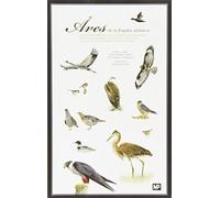 Aves de la España atlántica: Guía de identificación de las especies de Galicia, (Flora y Fauna)