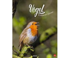 Aves en nuestros jardines Póster Calendario 2025: Muchas fotos y textos informativos sobre 12 especies de aves en un fascinante calendario de pared. Calendario decorativo con valor añadido para los