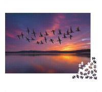 Aves migratorias y Golondrinas Volando en formación Rompecabezas para Adultos |Atardecer Sky| De Diversión Familiar 1000pcs (75x50cm)
