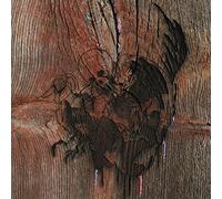 Avey Tare's Slasher Flicks Enter the Slasher House (Vinyl) 12" Album