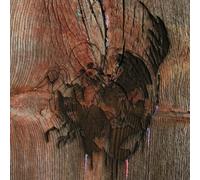 Avey Tare's Slasher Flicks Enter the Slasher House (Vinyl) 12" Album