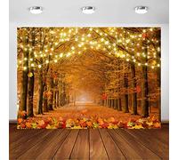 Avezano Fondo de fotografía con hojas de arce caídas del bosque otoñal amarillo otoño árbol calle calle paisaje de Acción de Gracias fondo estudio fotográfico accesorios fotobooth(7 x 5 pies)