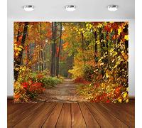 Avezano Paisaje de otoño Deciduo telón de Fondo caducifolio Camino del Bosque Natural Paisaje de Fondo Verde y Amarillo otoño Hojas Vistas Fondo decoración Fiesta Banner Retrato (7 x 5 pies)