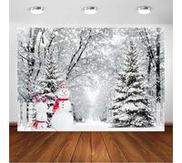 Avezano Telón de fondo de bosque nevado de invierno, invierno, país de las maravillas, muñeco de nieve, decoración de fiesta de Navidad, fondos de fotos, paisaje de invierno, paisaje natural, fondo de