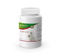 Avianvet Vitamina A Plus | Suplemento en Polvo para Pájaros | Ayuda al Mantenimiento de Tejidos Blandos y óseos | Formato 125gr