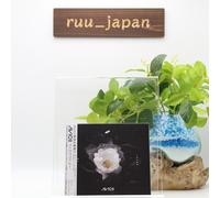 AVICII-WITHOUT YOU-JAPAN CD BONUS TRACK NUEVO