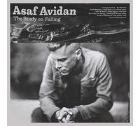 Avidan Asaf - The Study En Falling