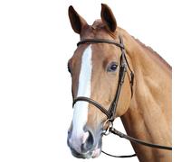 Aviemore - Brida para Caballos de Cuero