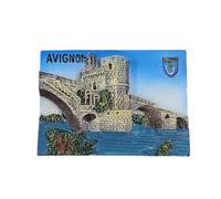 Avignon France - Imán 3D para nevera, regalo de recuerdo, resina, hecho a mano, diseño de Aviñón, colección de decoración para el hogar y la cocina