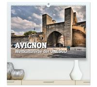 Avignon - Weltkulturerbe der UNESCO (hochwertiger Premium Wandkalender 2026 DIN A2 quer), Kunstdruck in Hochglanz: Avignon - die Stadt der Päpste