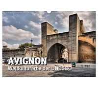 Avignon - Weltkulturerbe der UNESCO (Wandkalender 2026 DIN A3 quer), CALVENDO Monatskalender: Avignon - die Stadt der Päpste