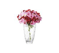 Avilia Jarrón de Cristal Transparente con diseño de Nido de Abejas, 30 cm, Elegante y Moderno, Ideal para Cualquier Entorno, como decoración o para Guardar Flores y Plantas - Resistente y fácil de