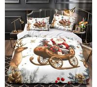 Avión-dinosaurio Funda de Edredón Cierre de Cremallera Oculta Juego de 3 Piezas Suave Estampado 3D con Fundas de Almohada Suave estilo de arte fantástico Funda Edredon for Adultos Double（200x200cm）