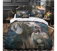 Aviones de juguete antiguos Funda de Edredón Suave Diseño 3D 3 Piezas Cremallera Oculta con Fundas de Almohada Lavables Aviación retro colorida Funda Edredon for niños y niñas Super king（260x220cm）