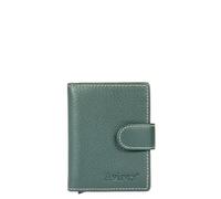 AVIREX Houston - Cartera de piel de vacuno con protección RFID, compacta y funcional, Verde, Dimensione chiuso: Cm. 10,5x7,5x2,2, Contemporáneo