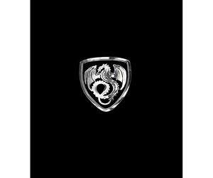 Avisa Pegatina Níquel 'Dragon in a Shield' - 50x45mm