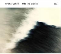 Avishai Cohen Into the Silence (CD) Album (Importación USA)
