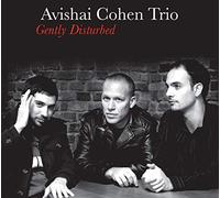 Avishai Cohen Trio - Gently Disturbed