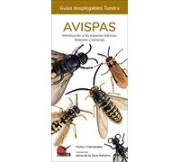 Avispas (GUIAS DESPLEGABLES)