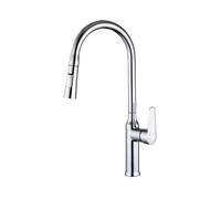 Avizar Grifo de Cocina Extensible con Punta Retráctil Flexible, Plata