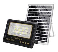 Avizar Proyector Solar LED Exterior 9000K con Detección Automática, Gris