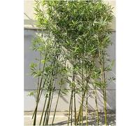 AVLLSO Bambu Artificial Alto 3ft 4ft 5ft 6ft 7ft, Fence Pantalla de privacidad Falso árbol para Balcón Patio Jardín Decoración Exterior, Hojas Verdes realistas exuberantes(80 Pack,1.8m/5.9ftTall)