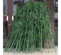 AVLLSO Bambu Decoracion Planta Falsa Alta para la privacidad del jardín, Decoración Pantalla de Cerca(100 Pack,1m/3.3ft Tall)