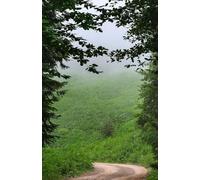 Avocado Toast at the End of the World