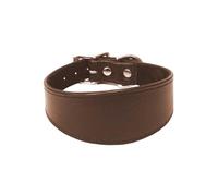 Avon Pet Products Whippet - Collar acolchado de cuero para perro de 35,5 cm BRN