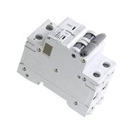 AVSBBYEPS Disyuntor de Carril DIN MCB 6KA 2p 500V Mini disyuntor DC6A 10A 16A 20A 25A 32A 40A 50A 63A(6 Years)