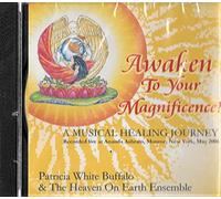 Awaken To Your Magnificence! A Musical Healing Journey