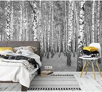 awallo A.S. Création 403706 - Papel pintado fotográfico (3,36 x 2,60 m), diseño de bosque, color gris, negro y blanco