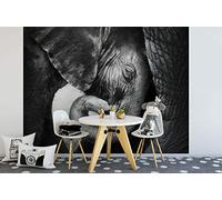 awallo A.S. Création 403708 - Papel pintado fotográfico (3,36 x 2,60 m), diseño de elefante, color gris y blanco