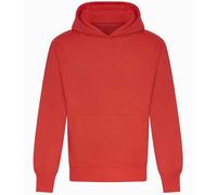 Awdis - Sudadera Firma de Pesada para Adultos Unisex