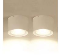 AWEITG 2 focos de techo LED COB 5 W con forma cilíndrica ajustable para sala estar y pasillo(White-3000k)