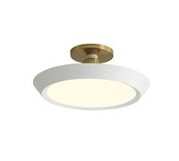 AWEITG Lámpara de techo ., lámpara de techo regulable, luces de techo redondas de hierro forjado de montaje semiempotrado, 11,8 pulgadas, adecuada for estudio, dormitorio, lavandería(White)