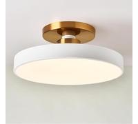 AWEITG Lámpara de techo ., lámpara de techo regulable, luces de techo redondas de hierro forjado de montaje semiempotrado, 11,8 pulgadas, adecuada for estudio, dormitorio, lavandería(White)