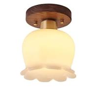 AWEITG Lámpara de Techo Moderna Montaje Semiempotrado Pantalla Vidrio 5,9"para iluminación lámpara Granja for Sala Estar Dormitorio 1 Paquete/2 Paquetes(1 Pack)