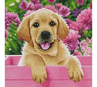 Awesocrafts Kit de punto de cruz con estampado de perro labrador labradoodle cachorro patrones fáciles de punto de cruz bordado kit de costura suministros (Labrador)