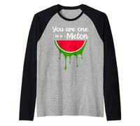 Awesome Summer Pet Cat Fruits One in a Melon Watermelon Camiseta Manga Raglan