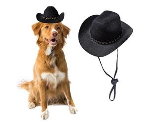 AWOCAN Sombrero de vaquero para perro, gato, sombrero de vaquero para mascotas, mini sombrero de vaquero para perros, gatos, vacaciones, Halloween, decoración de fiesta de mascotas (negro, grande)