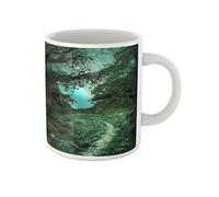 Awowee Taza de café azul encantado camino en el bosque mágico verde místico 325 ml taza de té tazas de cerámica mejor regalo o recuerdo para familiares, amigos compañeros de trabajo