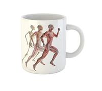 Awowee Taza de café con anatomía muscular de la postura del corredor, ciencia humana, fitness anatómico, taza de té de cerámica de 325 ml, el mejor regalo o recuerdo para familiares, amigos y