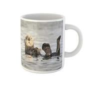 Awowee Taza de café con cara blanca de nutria marina de California flotando en su espalda, taza de té de cerámica de 325 ml, el mejor regalo o recuerdo para familiares, amigos y compañeros de trabajo