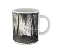 Awowee Taza de café con diseño de amanecer en el bosque, color negro, paisaje blanco, árbol, madera clara, taza de té de cerámica, 325 ml, el mejor regalo o recuerdo para familiares, amigos y