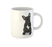 Awowee Taza de café con diseño de cachorro bulldog francés sentado mirando el reflejo del espectador, tazas de té de cerámica de 325 ml, el mejor regalo o recuerdo para familiares, amigos y compañeros