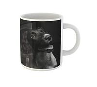 Awowee Taza de café con diseño de cachorro Springer Spaniel inglés de seis meses de edad, 325 ml, taza de té de cerámica, el mejor regalo o recuerdo para familiares, amigos y compañeros de trabajo