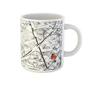 Awowee Taza de café con diseño de camachuelo descansando en una rama en escena de invierno, taza de té de cerámica de 325 ml, el mejor regalo o recuerdo para familiares, amigos y compañeros de trabajo