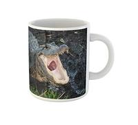 Awowee Taza de café con diseño de cocodrilo rosa abierto en el Parque Nacional Everglades, taza de té de cerámica de 325 ml, el mejor regalo o recuerdo para familiares, amigos y compañeros de trabajo
